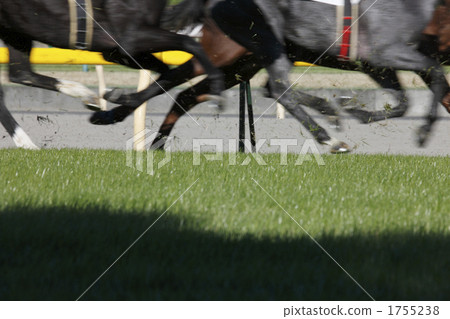 race track, horse racing, horseracing 1755238