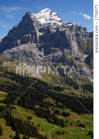 Wetterhorn and prairie in the Swiss Alps 1756073