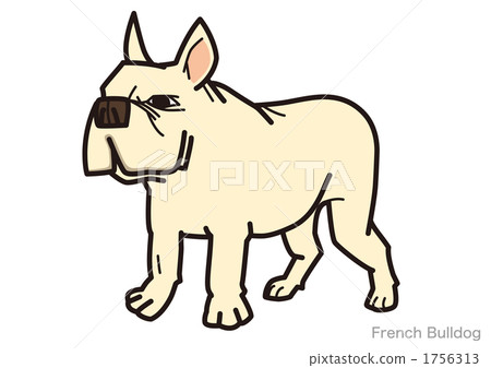 French bulldog 05_100912 1756313