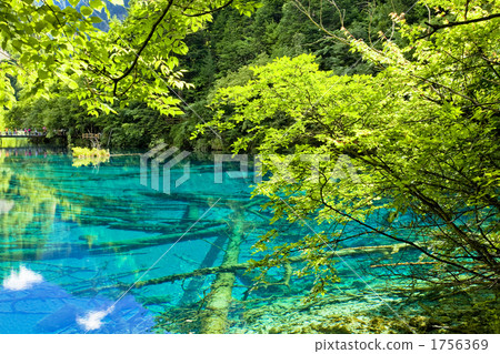 World Heritage Jiuzhaigou Five Flower Seas World Heritage Jiuzhaigou Five Flower Seas 1756369