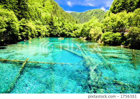 世界遺產九寨溝五花海 世界遺產九寨溝五花海 1756381