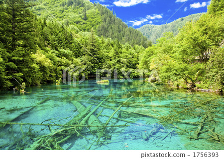 九寨溝的五朵花海 九寨溝的五朵花海 1756393