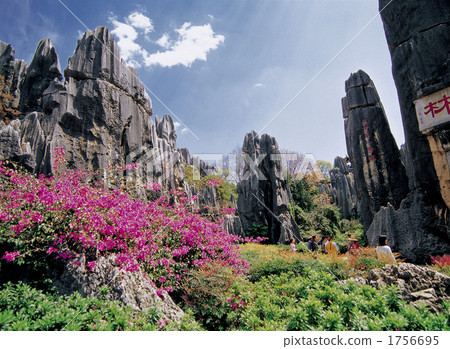 石林 石林 1756695