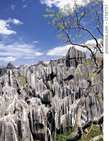 昆明郊外的一塊石林 1756757