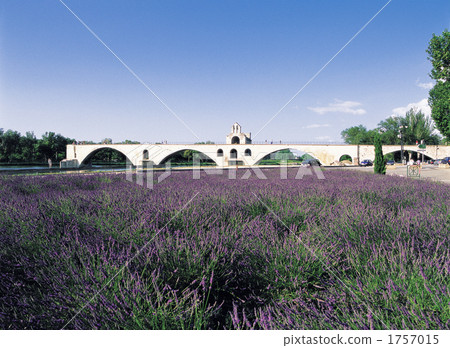 阿維尼翁橋 1757015