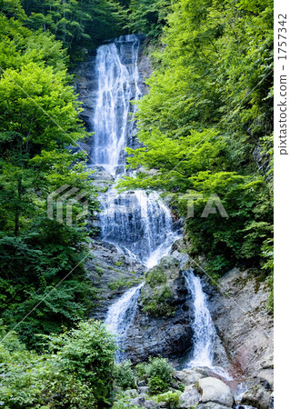 Summer of Kaeda Kogen 1757342