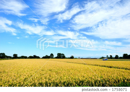 rural scene, rural landscape, rural districts 1758071