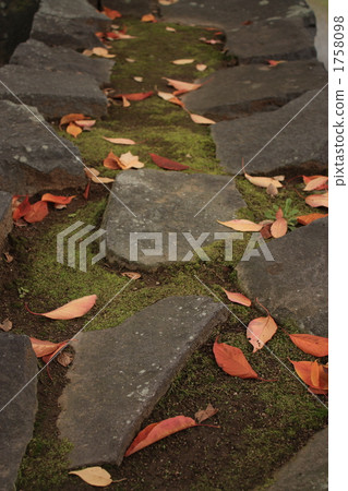 Cobblestones and dead leaves 1758098