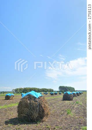 原野 田地 領域 1758113