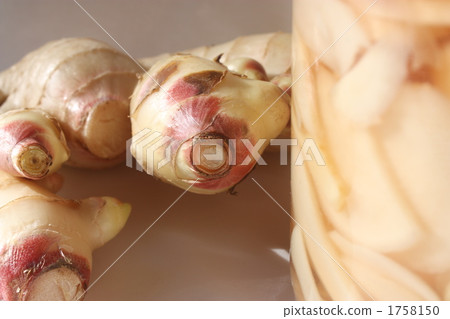 醃薑和姜 醃薑和姜 1758150