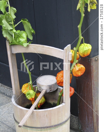 Wooden pail and wolf Wooden pail and wolf 1758528