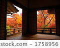 houkyouin, maple, yellow leafe 1758956