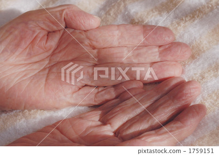 手掌 手心 身體部位 1759151