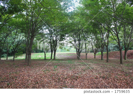 Takasaki Nature's Forest Takasaki Nature's Forest 1759635