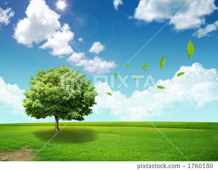 Tree / field - _k _ 507568 Tree / field - _k _ 507568 1760180