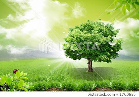 Kinohara _ c _ 769113 1760655