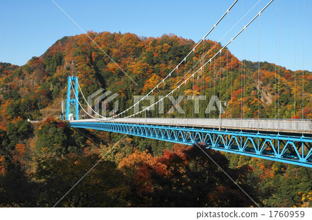 秋葉Ryujin大懸索橋 秋葉Ryujin大懸索橋 1760959