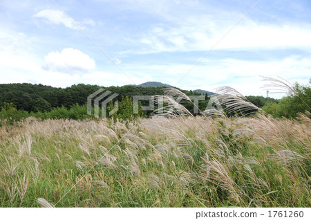 高地鈴木 高地鈴木 1761260
