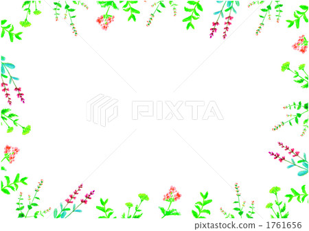 frame, catnip, handwriting 1761656