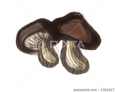 香菇的插圖 1762827