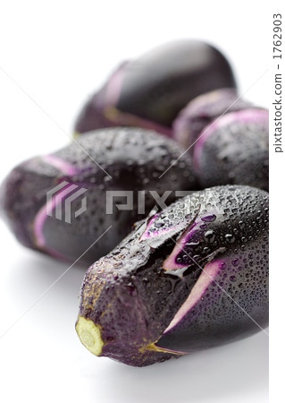 Small eggplant Small eggplant 1762903