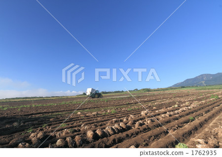 一個農場 1762935