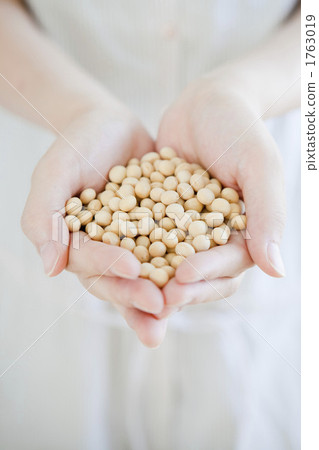 Hand of women with soybeans 1763019