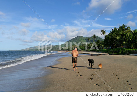 Running at the beach 1763293