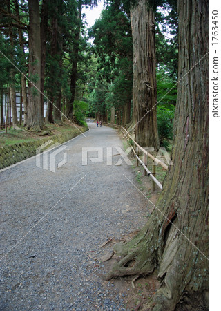 平泉步行·Chusonji寺表參道海嘯薩卡 1763450