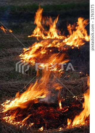 熾烈 火焰 烈火 1763575