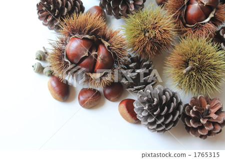 大自然的祝福〜秋天的形象〜 大自然的祝福〜秋天的形象〜 1765315