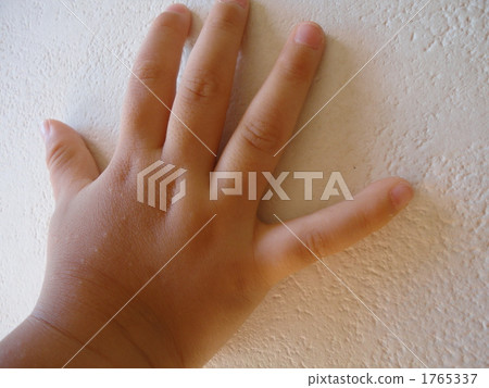 身體部位 數字 手指 1765337