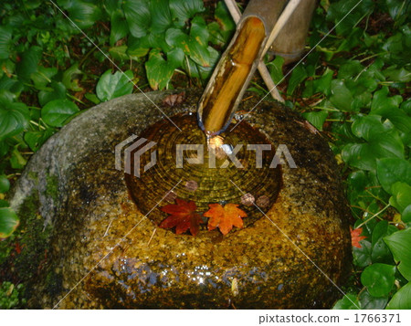 Shishi Shishi 1766371