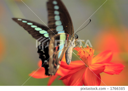 奧蘇吉電梯 1766385