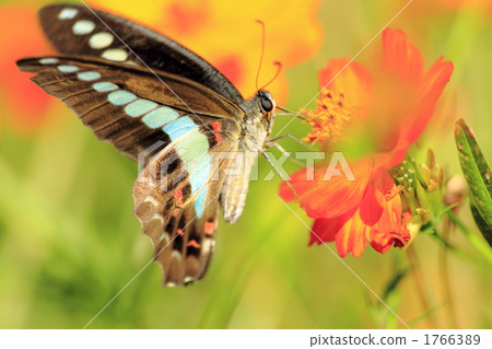 奧蘇吉電梯 奧蘇吉電梯 1766389