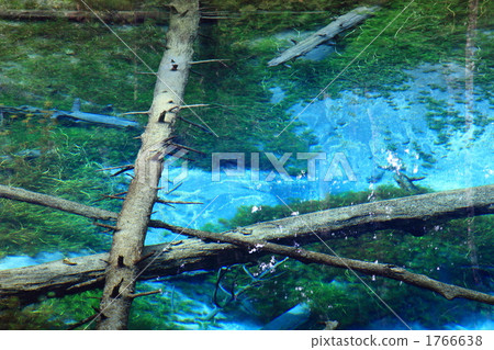 上帝的池塘 1766638