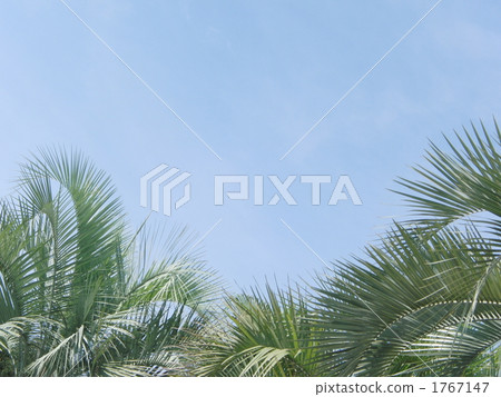 Clear blue sky Clear blue sky 1767147