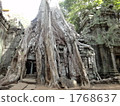Ta Proton (Cambodia) 1768637