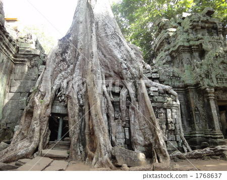 Ta Proton (Cambodia) Ta Proton (Cambodia) 1768637