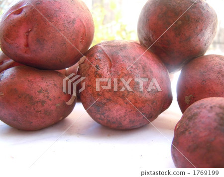 Andean Red 1769199