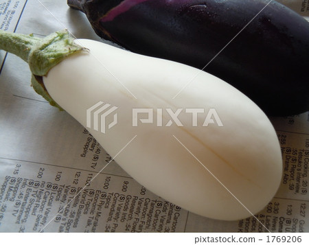 white eggplant 1769206