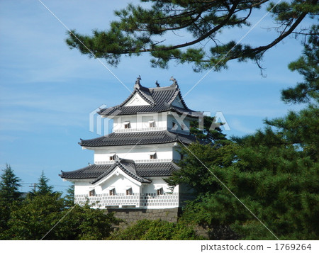 Shibata城堡和松樹 Shibata城堡和松樹 1769264
