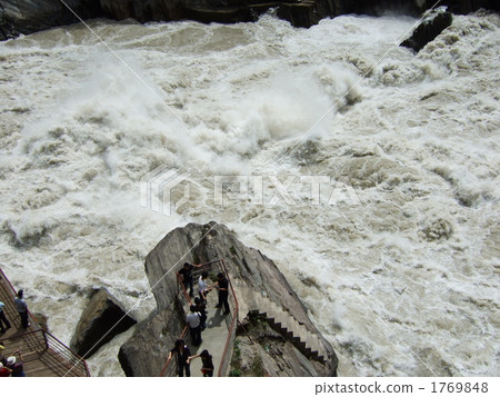 Tiger Hinkins Tiger Hinkins 1769848