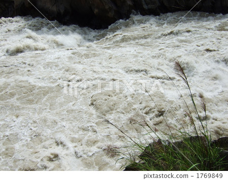 Tiger Hinkins Tiger Hinkins 1769849