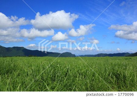 Hagi plateau 1770096
