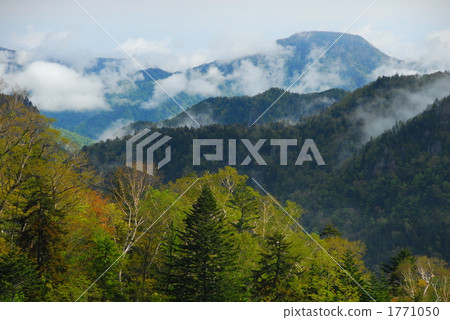 Nakayama Pass的晨霧 Nakayama Pass的晨霧 1771050