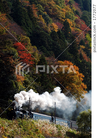 Late autumn steam locomotive Late autumn steam locomotive 1772077