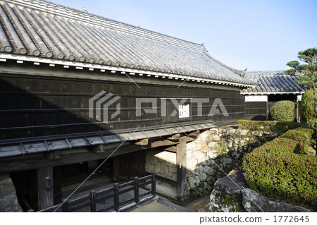 坂本龍馬 土佐藩 中岡慎太郎 1772645