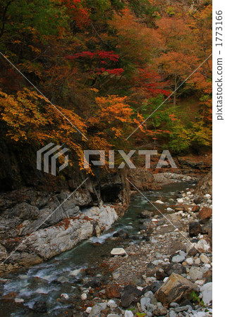中津川谷秋葉 1773166