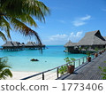 Tahiti 1773406